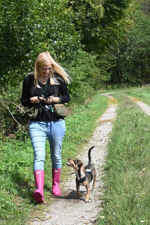 Dummytraining München