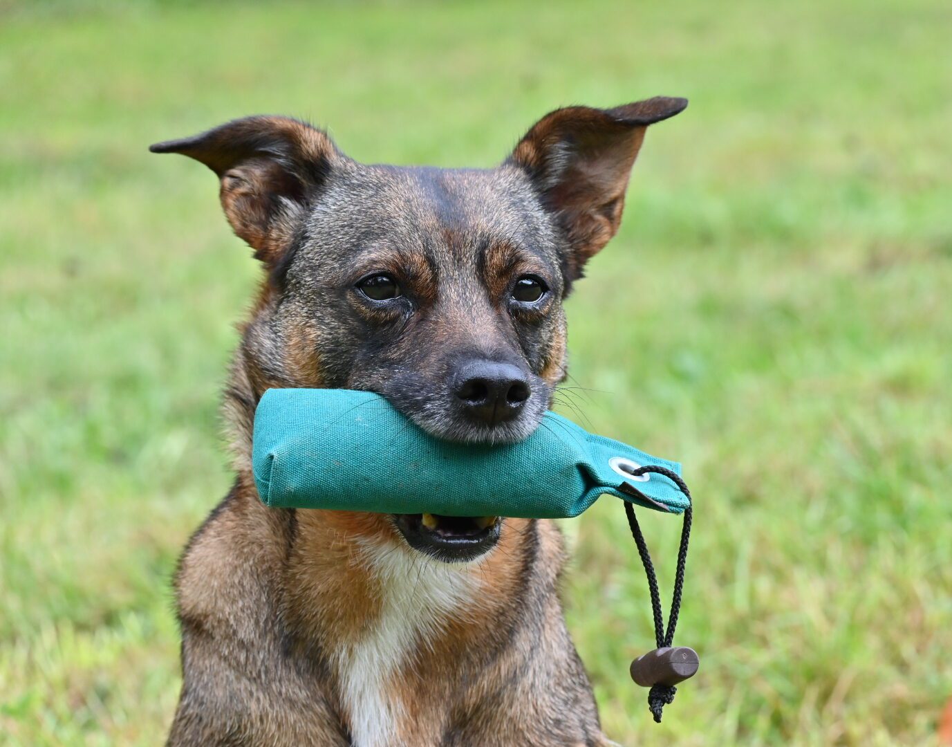 Dummytraining München